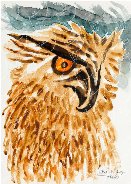Angry Owl