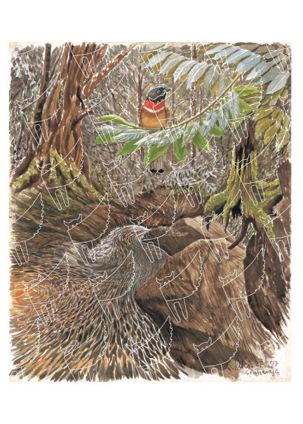 Bird and Stream