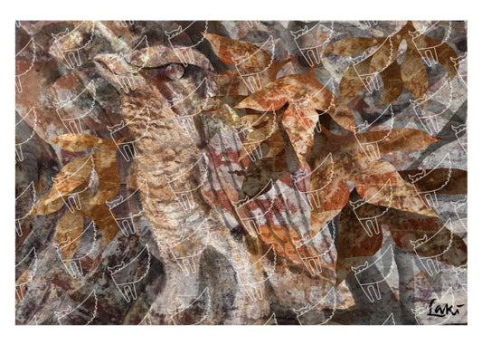 Deadly Nightjar