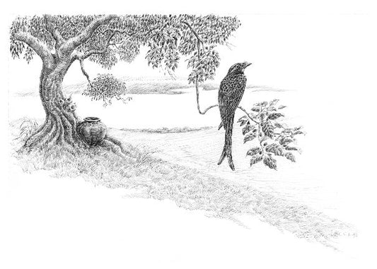 Lunuganga Bird with a View