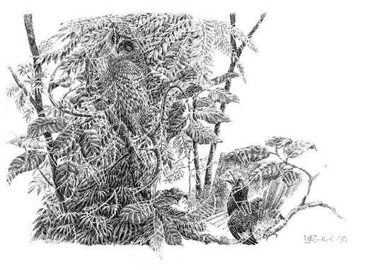 Lunuganga Owl