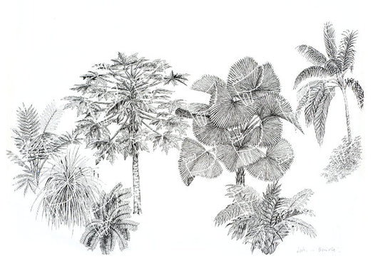 Papaya and Fan Palm