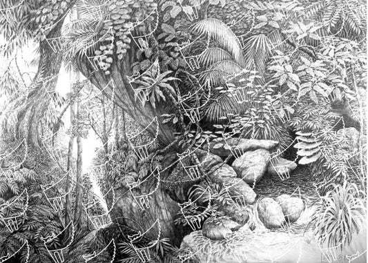 Sinharaja Landscape