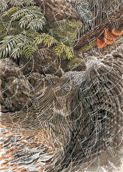 Sinharaja Stream 2
